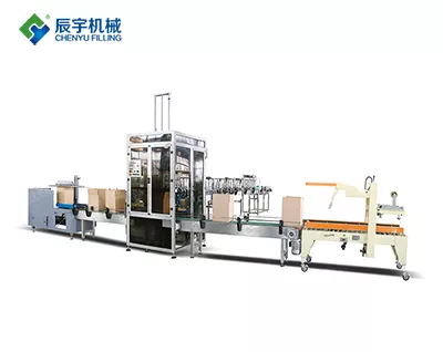 Carton Opening Packing Sealing System